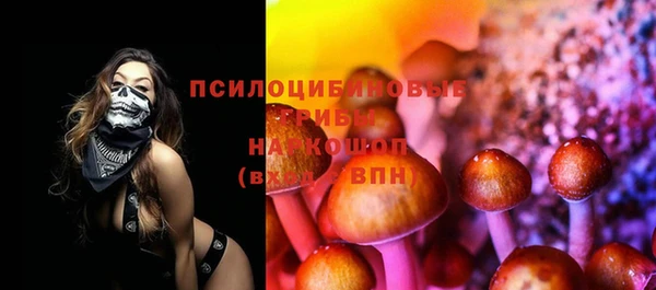 каннабис Арсеньев