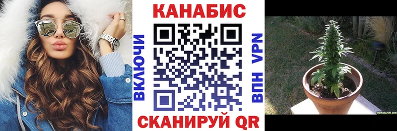 Бошки Шишки SATIVA & INDICA  MEGA онион  Рыбное 